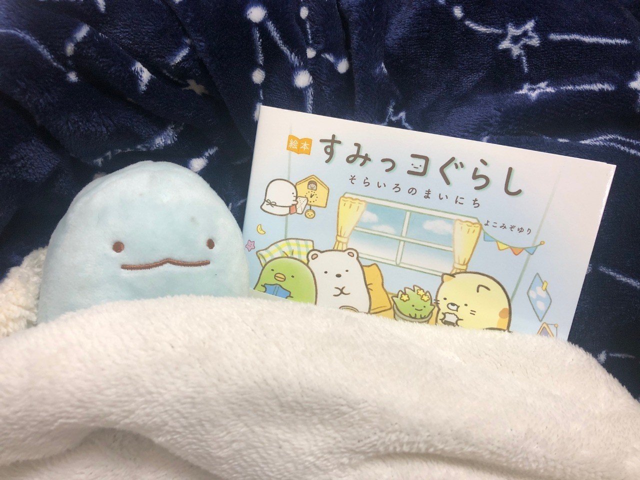 一隅を照らすあたたかな光に 映画 すみっコぐらし とびだす絵本とひみつのコ 感想 イカの光りどころ Note