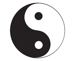 隠と陽1