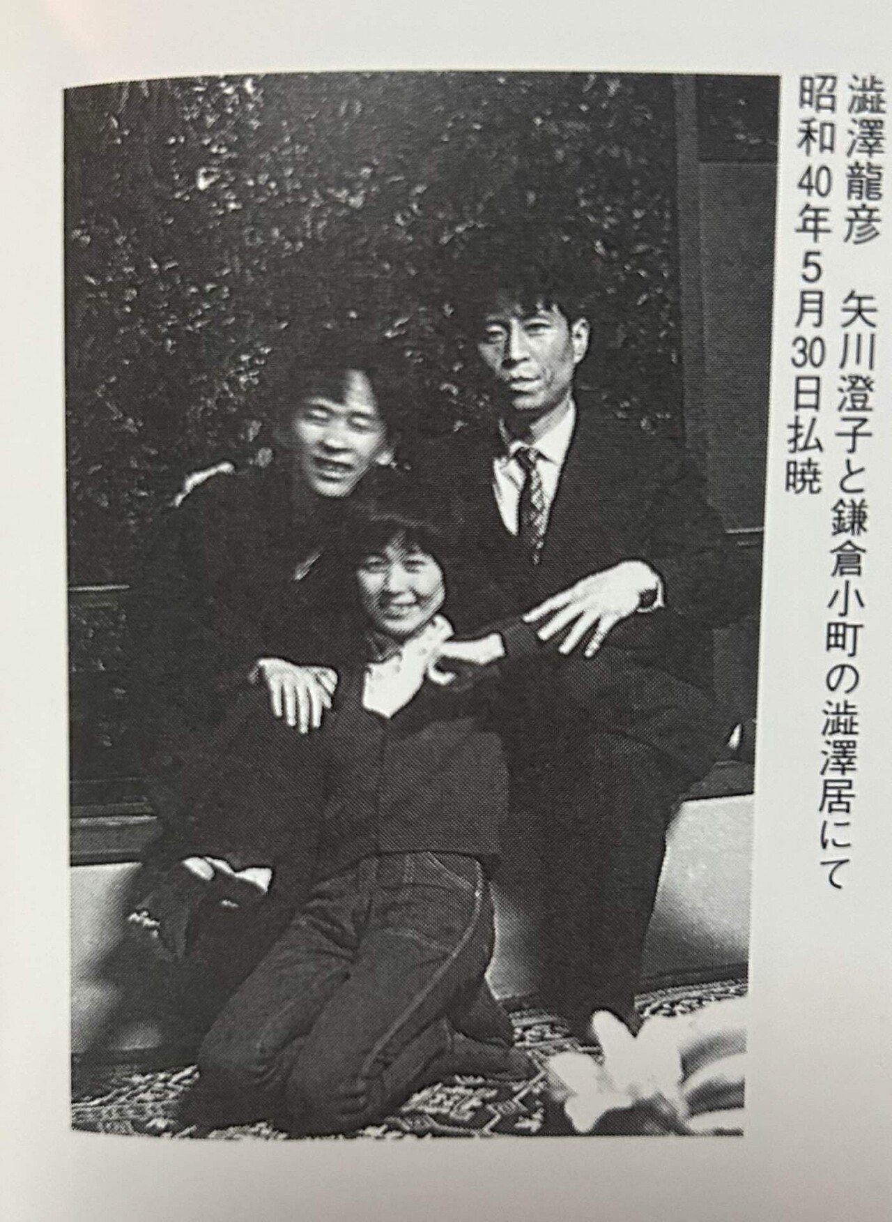 響きあう俳句と書〈下〉大正・昭和生れの俳人 響きあう俳句と書〈下〉大正・昭和生れの俳人