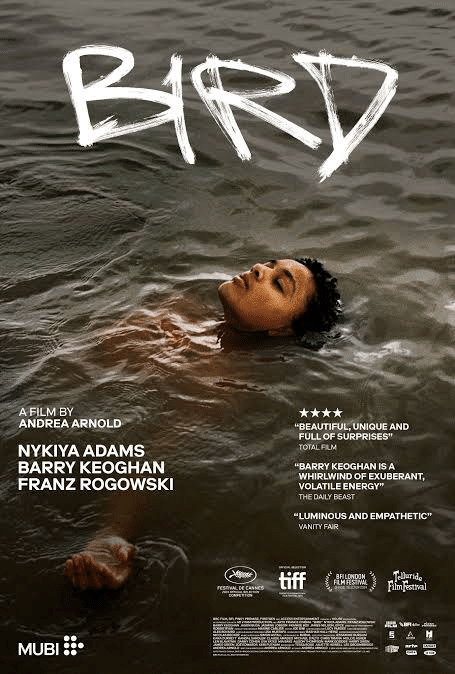 2025年期待の新作映画10選「bird」「Y2K」「the substance