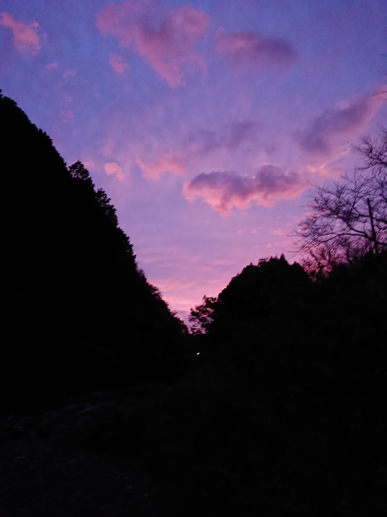 田村川 夕焼け版 紫色のきれいな空 立命館大学sustainable Week 実行委員会 Note