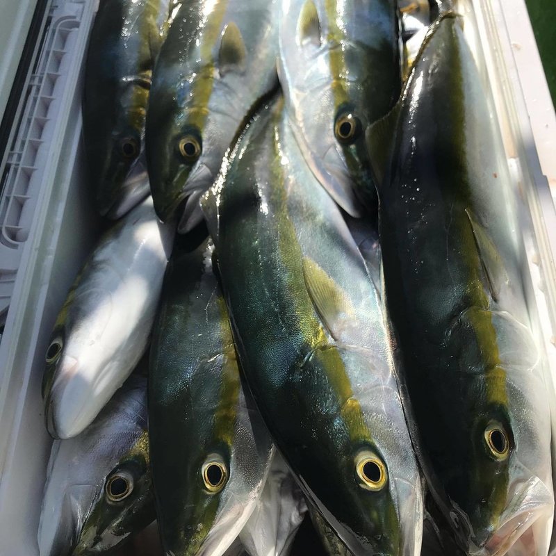釣りをしていて考えたこと 17 佐藤秀峰 Note
