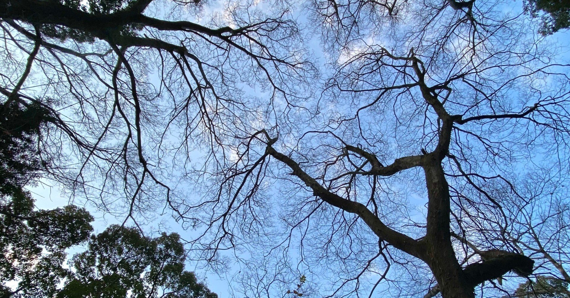 556accbc7fc5895e07454ff6f8687a