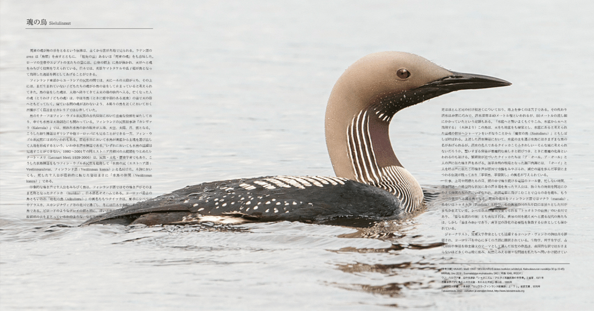 魂の鳥 Sielulintu」について｜小川至 Itaru_Ogawa