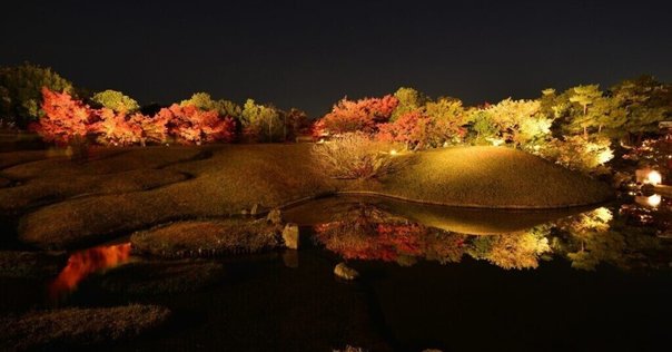 夜の弘前城・桜ライトアップ＊｜ぷらいまり。