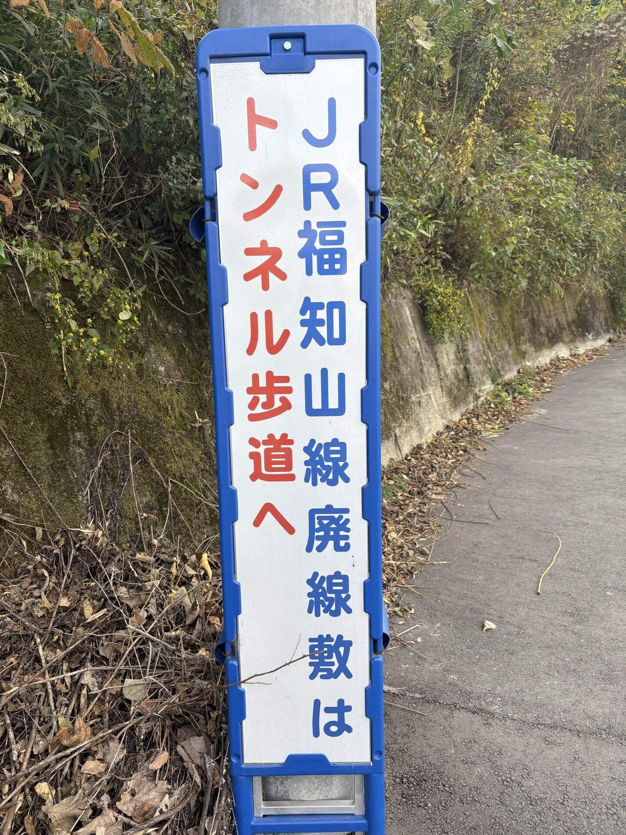 ハイキング⑧JR福知山線廃線敷｜さくら