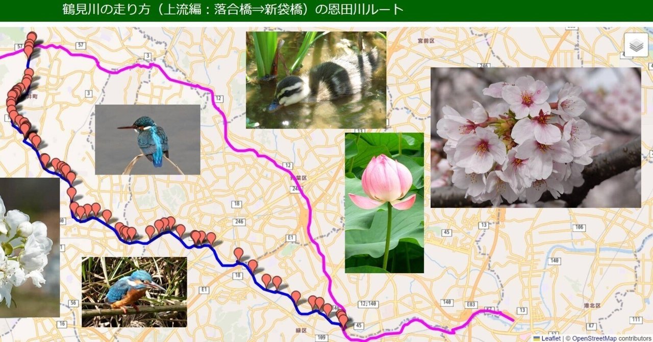 鶴見川サイクリングロードの走り方（特別編：落合橋からの恩田川