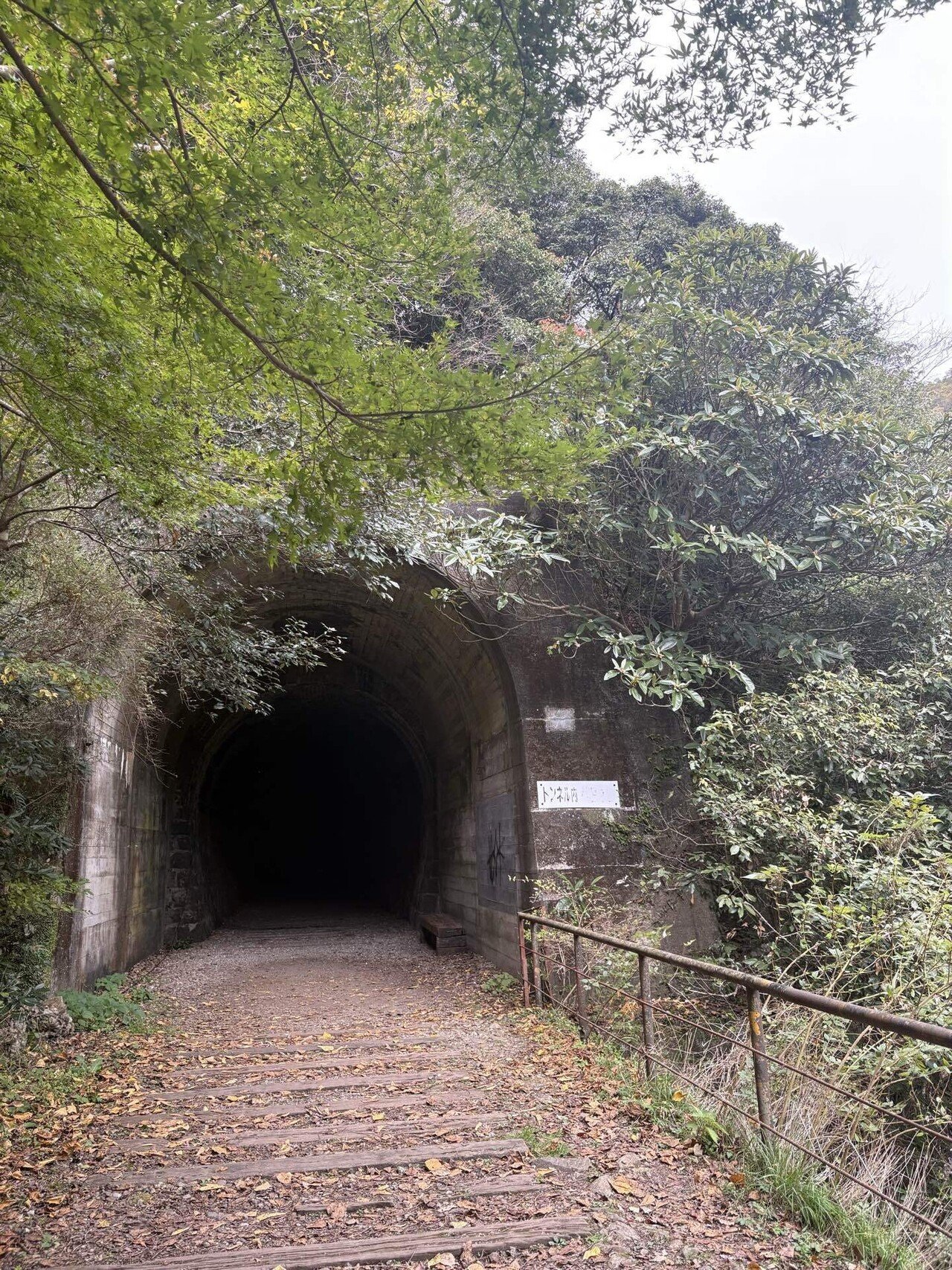 12.森のトンネル JR福知山線廃線敷・北山第二トンネル