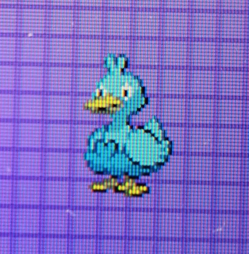 ポケモンブラック日記 メンバー紹介 ぬるりん堂の河童 Note