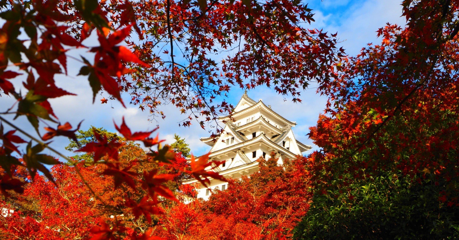 a91f031a129e2f830a2b586c602ac7