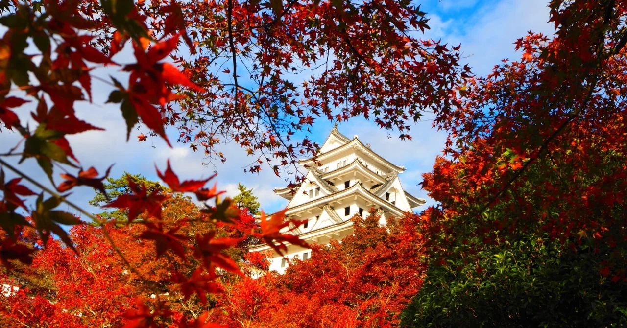 郡上八幡城での紅葉撮影はクセになる｜すすむ