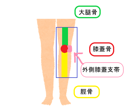 外側膝蓋支帯
