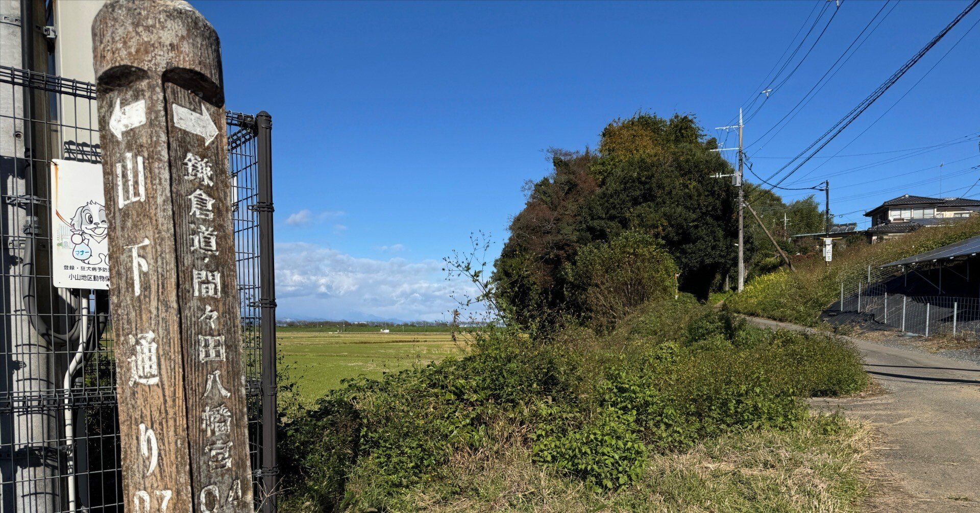 鎌倉街道 中道を走る 古河～小山｜dash2