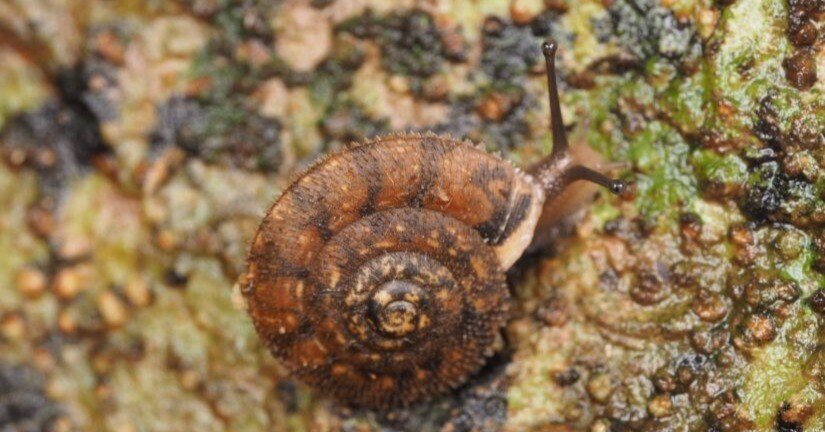 f8858de06980b3f4e23c6ca80a6d16