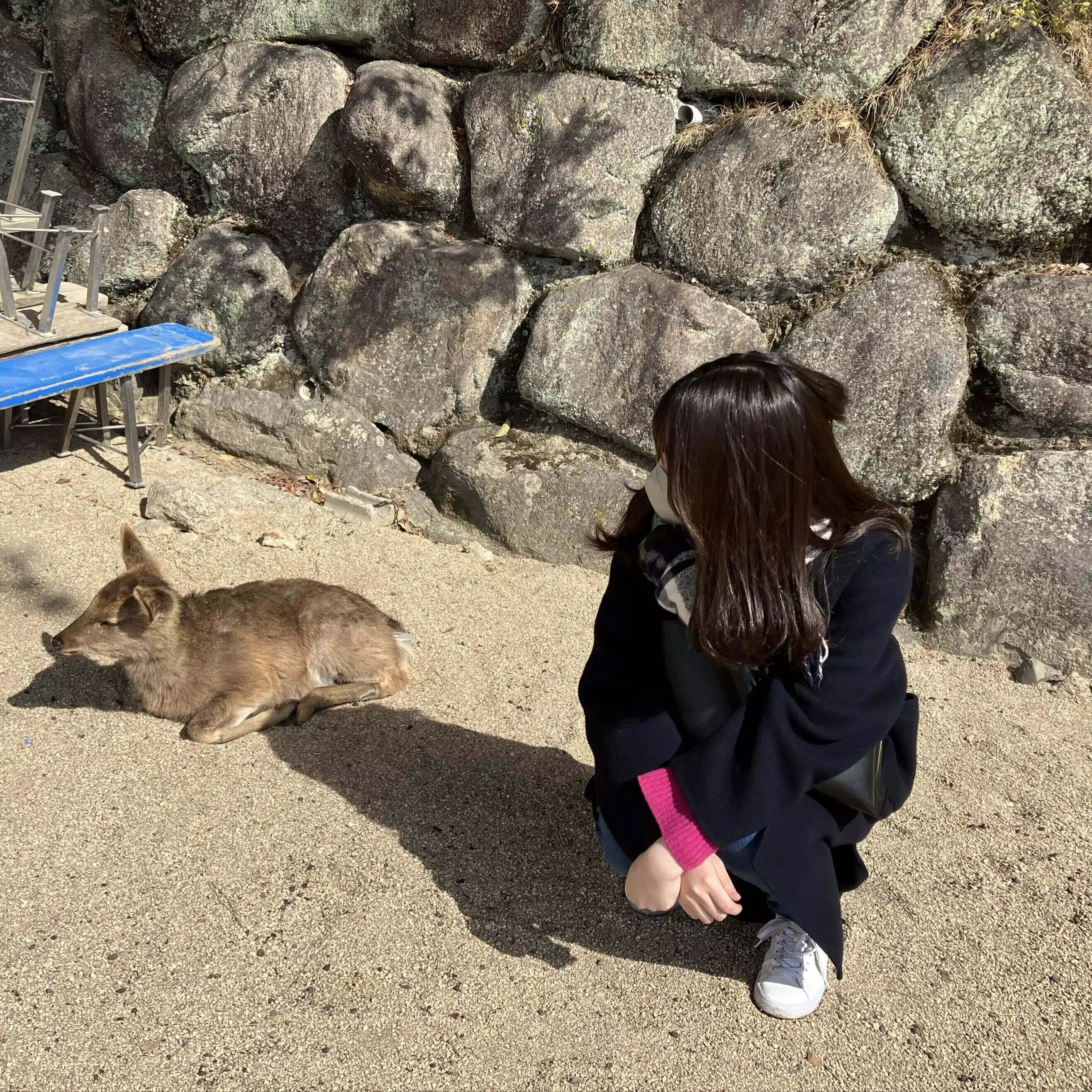 しろ