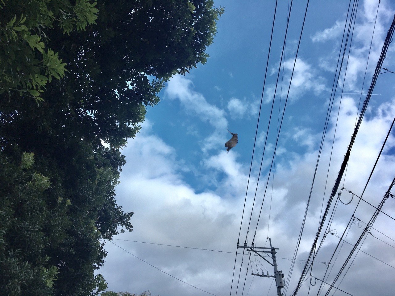 才能が全くない人はいない ユウカ Note