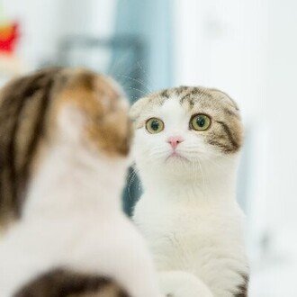 ☆シェアしよ♪☆PC・ガジェット部(公式アカウント)note課