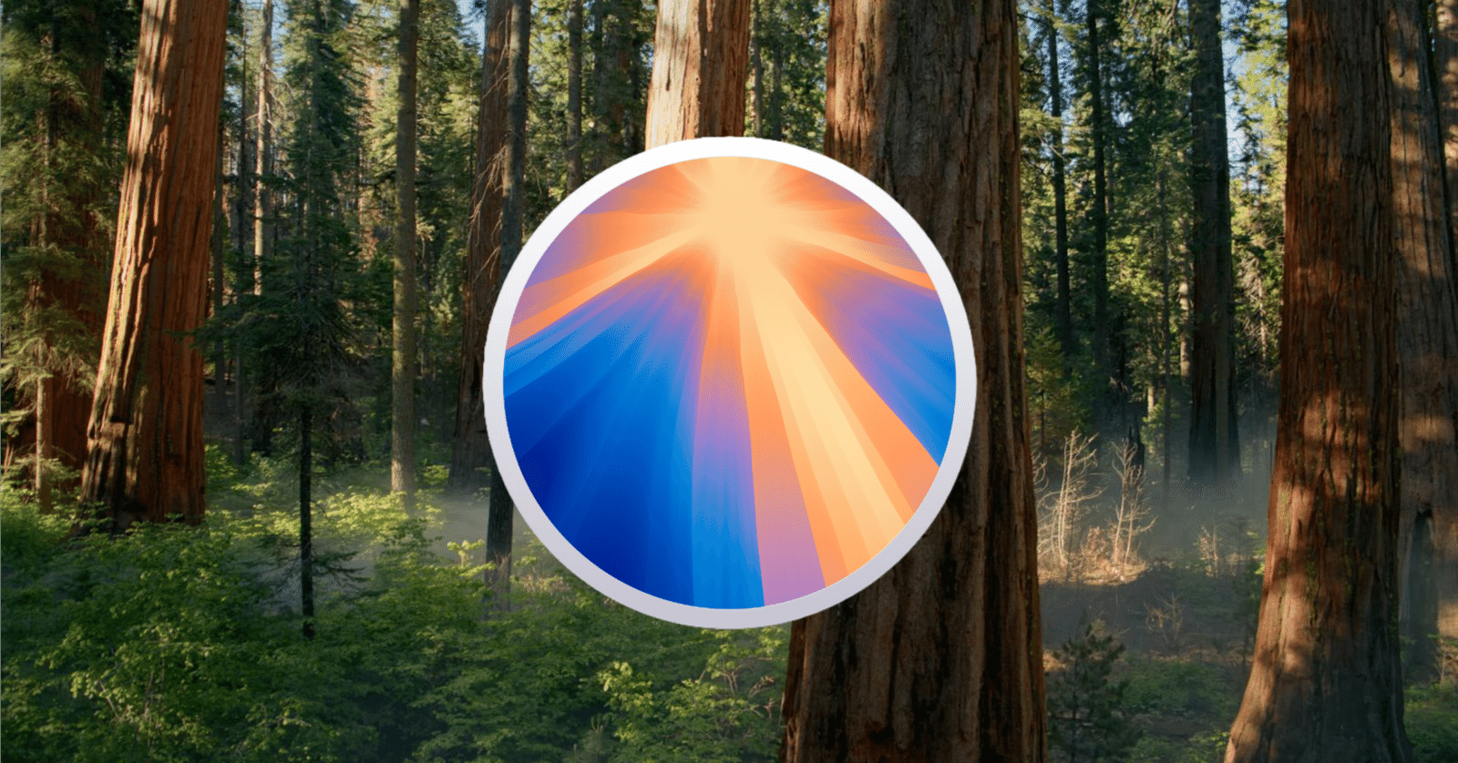 ドロップス様確認用 macOS Sequoia（15）関連情報：Photoshopのドロップレットの認証方法が