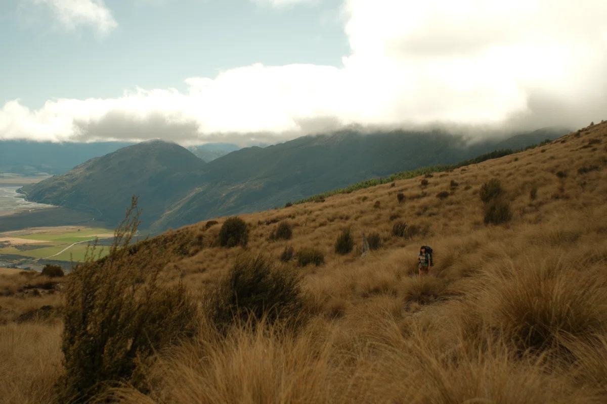 Hamilton Hut Te Araroa Day 28 #Hamilton Hut|mt_nekoze