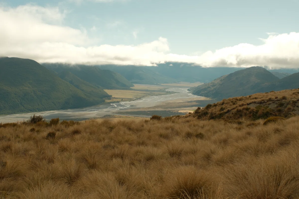 Hamilton Hut Te Araroa Day 28 #Hamilton Hut|mt_nekoze