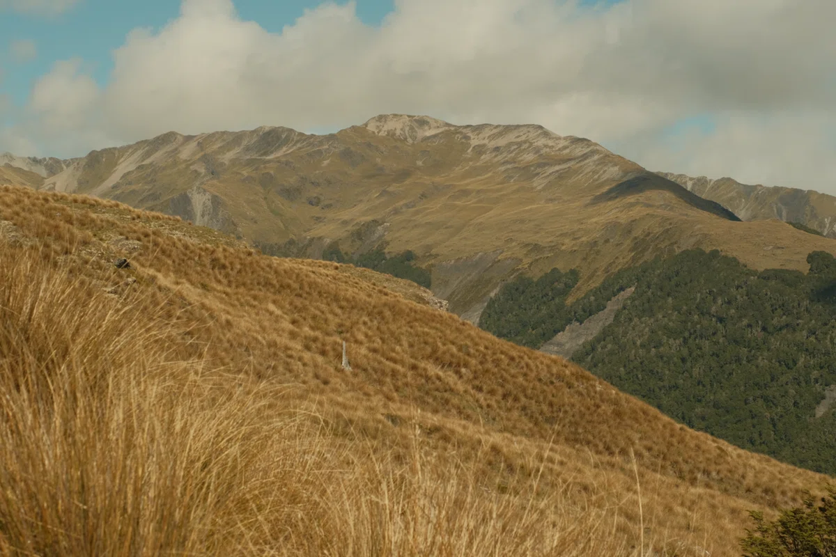 Hamilton Hut Te Araroa Day 28 #Hamilton Hut|mt_nekoze
