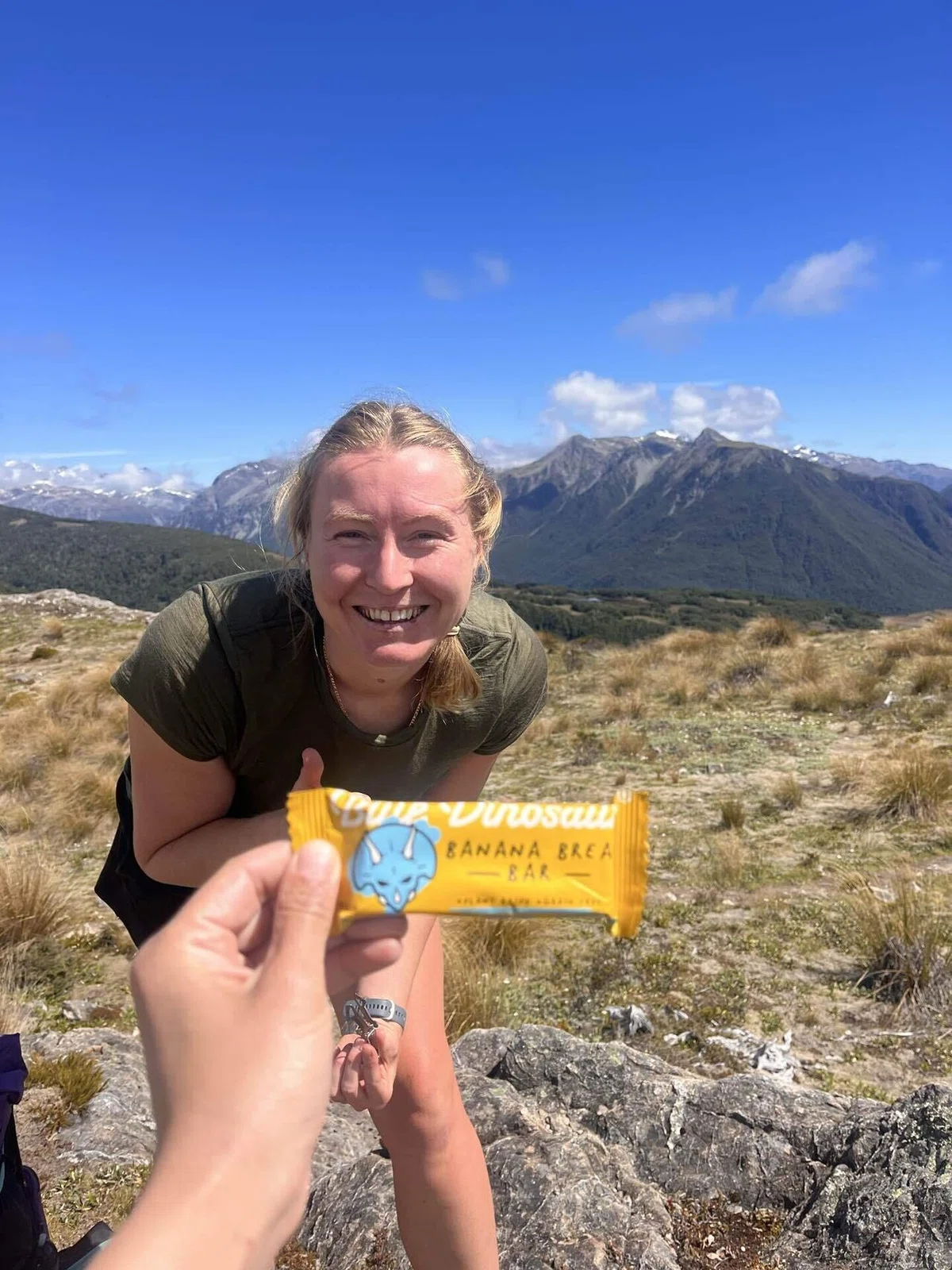Hamilton Hut Te Araroa Day 28 #Hamilton Hut|mt_nekoze