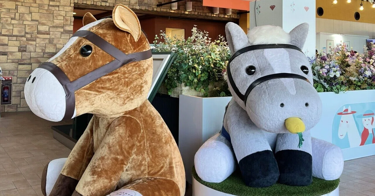 ジャパンカップ前日の東京競馬場に行ってきた！｜ばりきのさら｜さらの