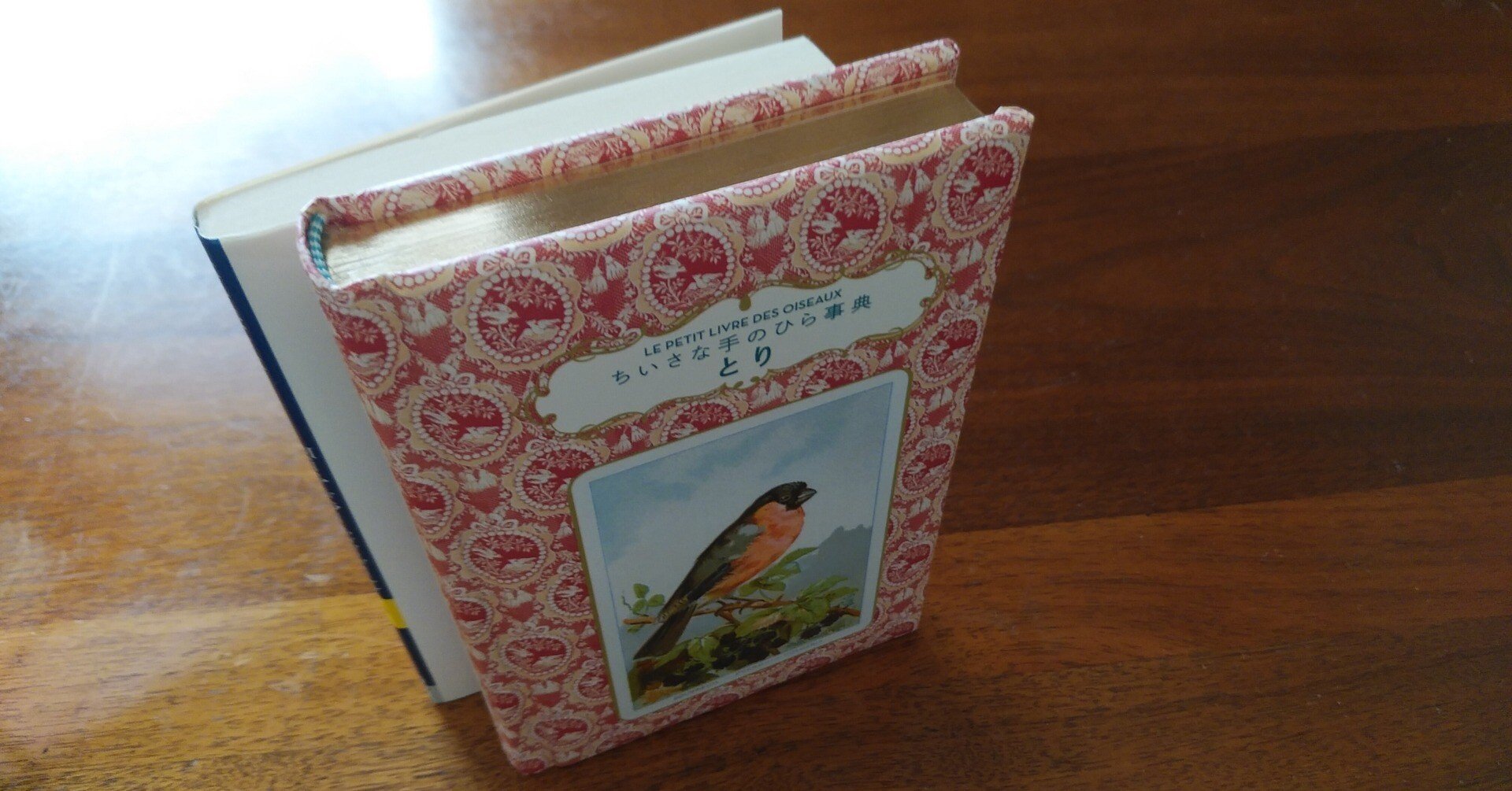 文庫本だけどハードカバー｜晴れる