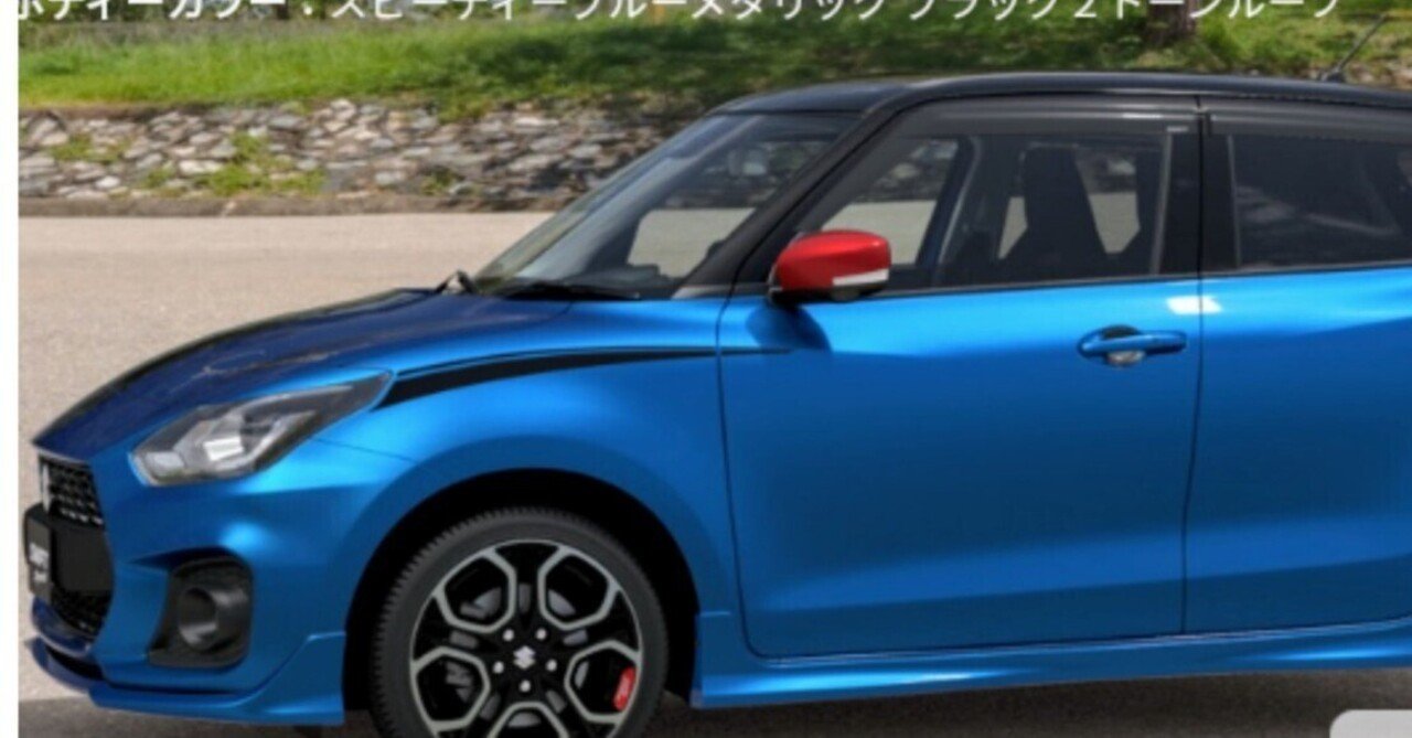 バリ山-スズキスポーツtypeーVX スイフトスポーツ専用オプション