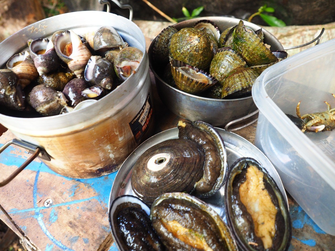 漕日 6 知るべきことを知った不幸で今生きている 志田岳弥 Note 漕日 6 知るべきことを知った不幸で今生きている 志田岳弥 Note