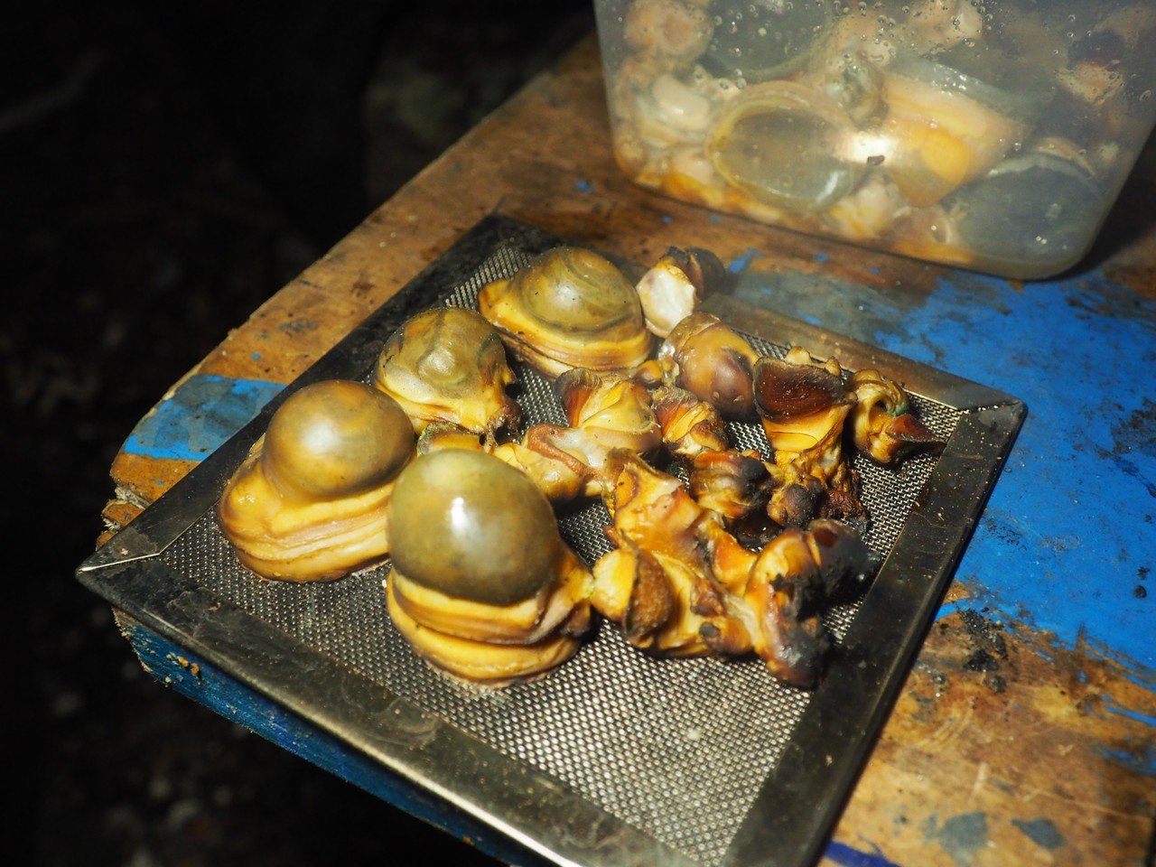 漕日 6 知るべきことを知った不幸で今生きている 志田岳弥 Note 漕日 6 知るべきことを知った不幸で今生きている 志田岳弥 Note