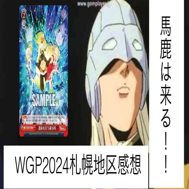WGP札幌地区ネオスタンダード感想｜テラ