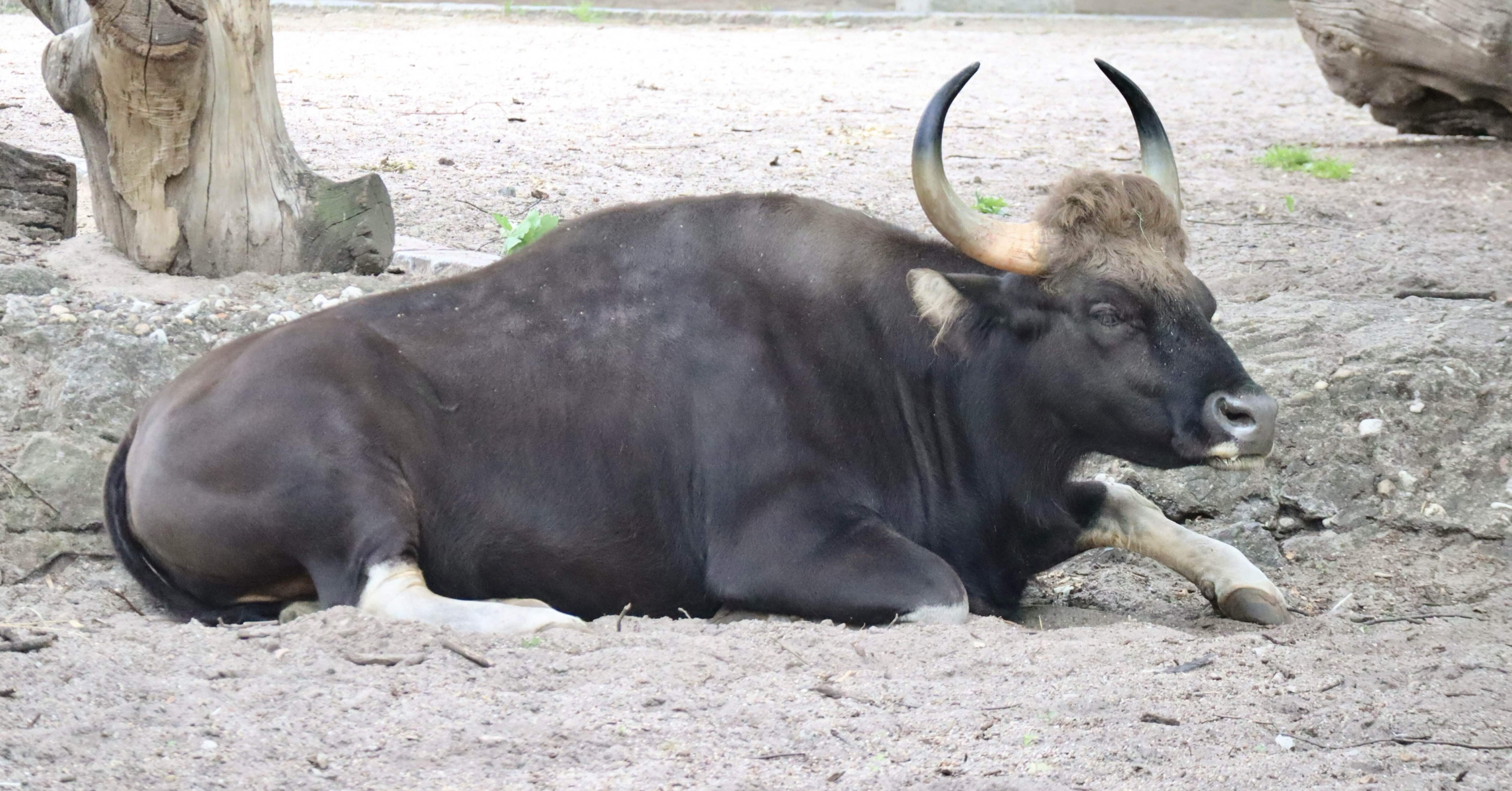 897940a8c7257000f9993c2a0a16ce