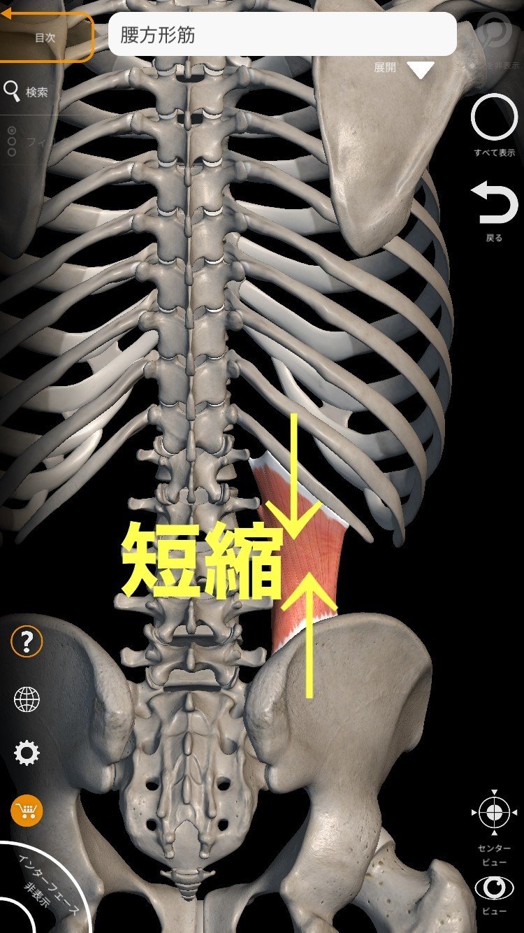 前屈を柔らかくするためのトレーニング 小室 佑太 Yuta Komuro Note