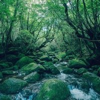 簡略版 本の紹介 005 新版 ファーブルこんちゅう記 小峰書店 小池陽慈 Note