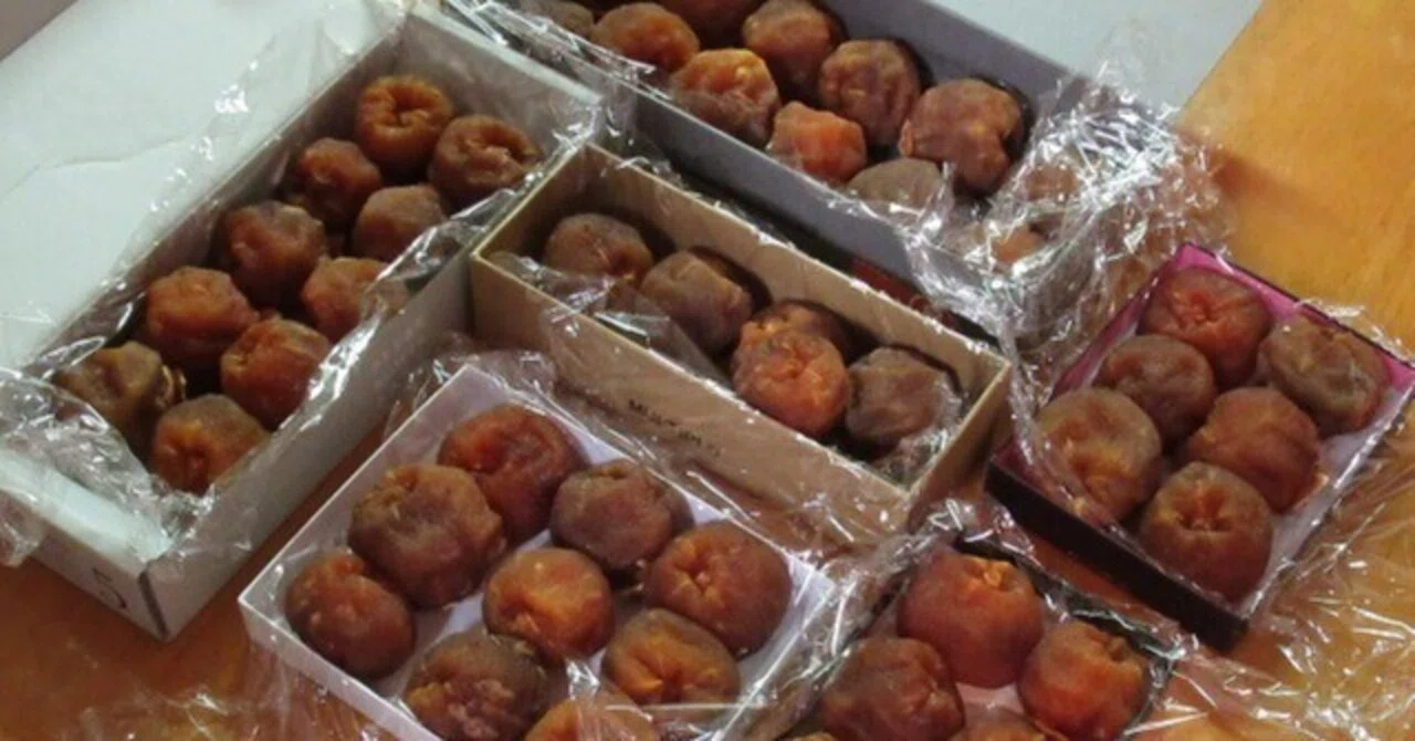 Completion of Dried Persimmons & Applying Post-Harvest Fertilizer｜i_yokan