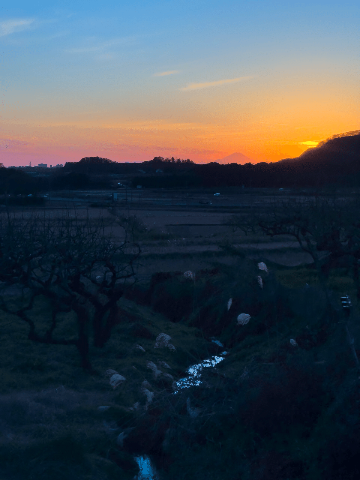 最近の写真 2024/11/22 土浦市小野から見た夕焼け 他｜Jun Sugihara
