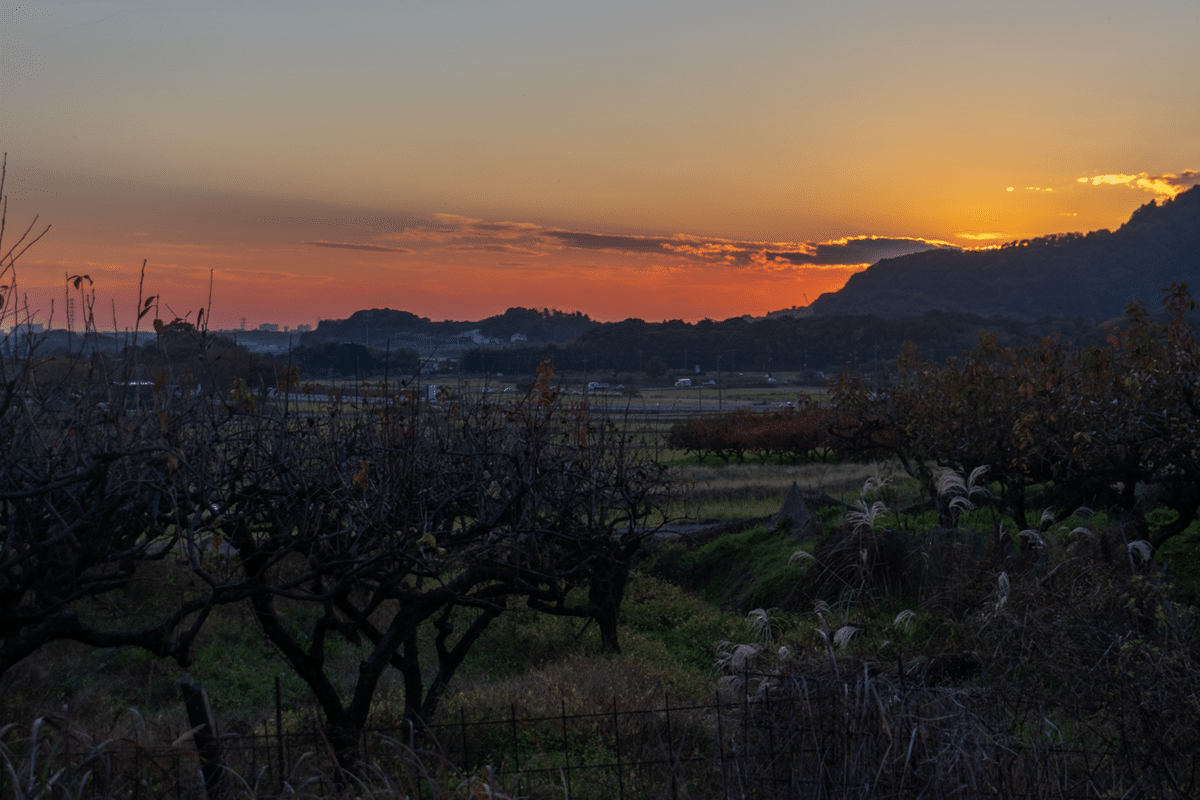 最近の写真 2024/11/22 土浦市小野から見た夕焼け 他｜Jun Sugihara