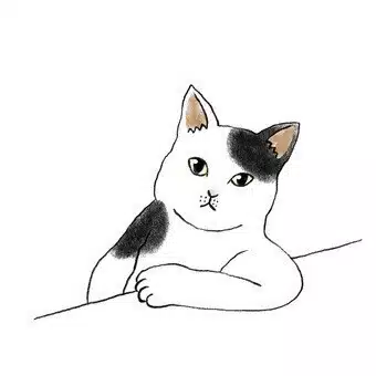 アコリス*