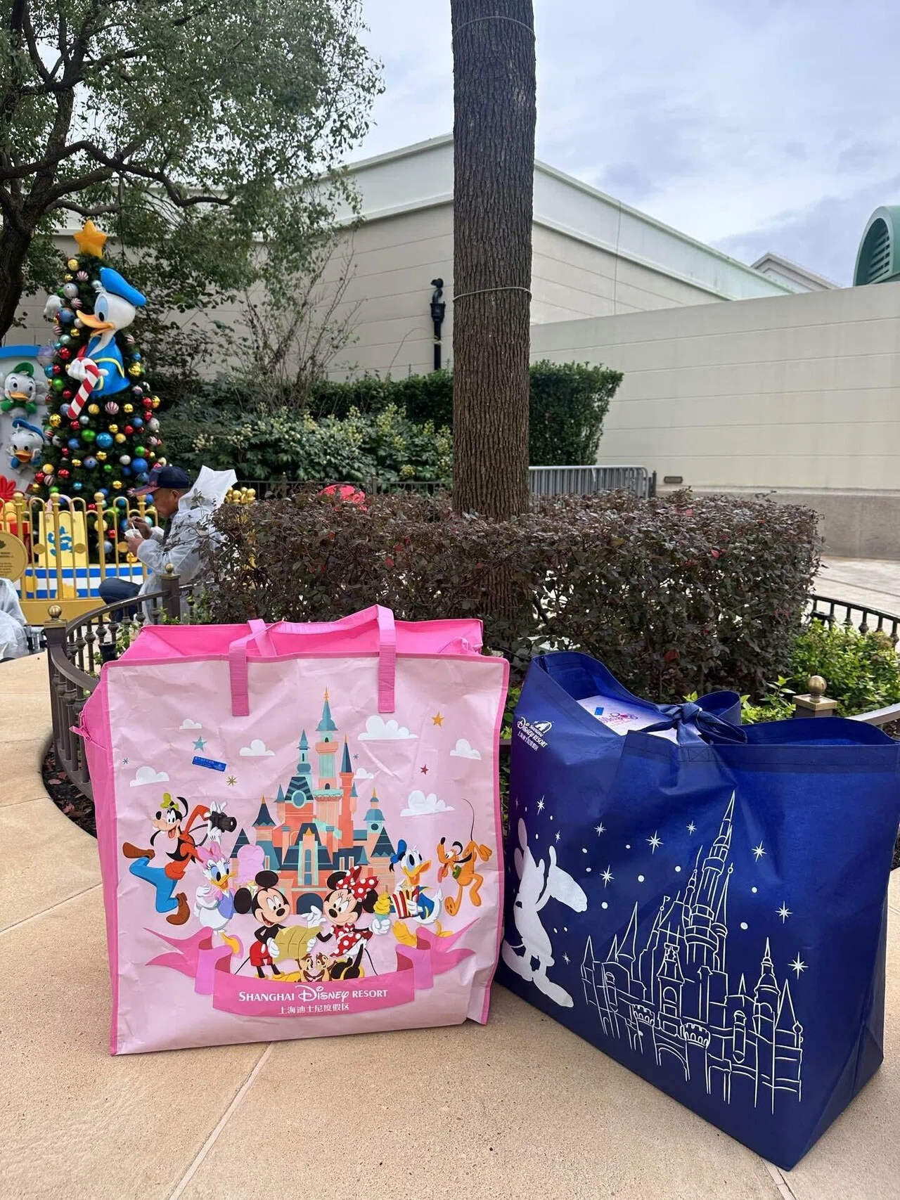 上海ディズニー】冬の福袋買ってみた！｜momo