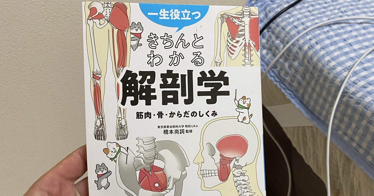 裁断済み】外科医のための局所解剖学序説 第2版 - メルカリ