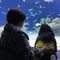 かやのうち
