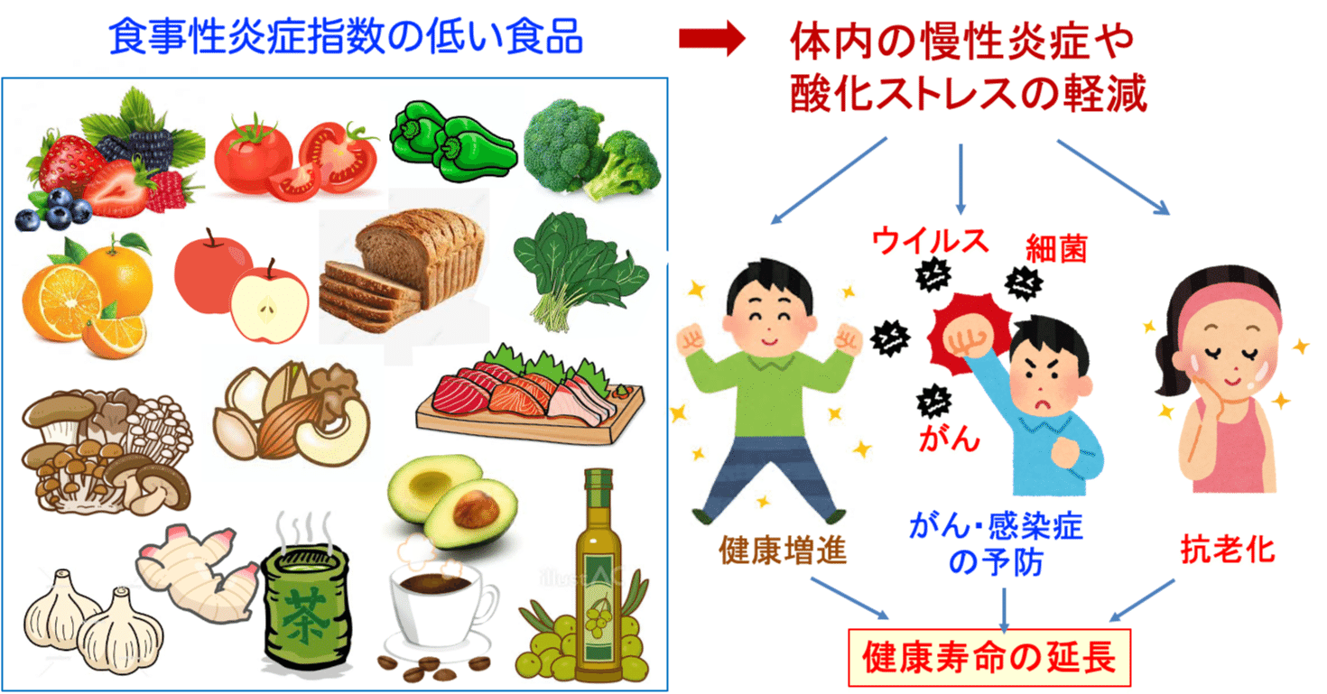 183）炎症誘発性の食事が寿命を短縮する｜福田 一典｜銀座東京クリニック