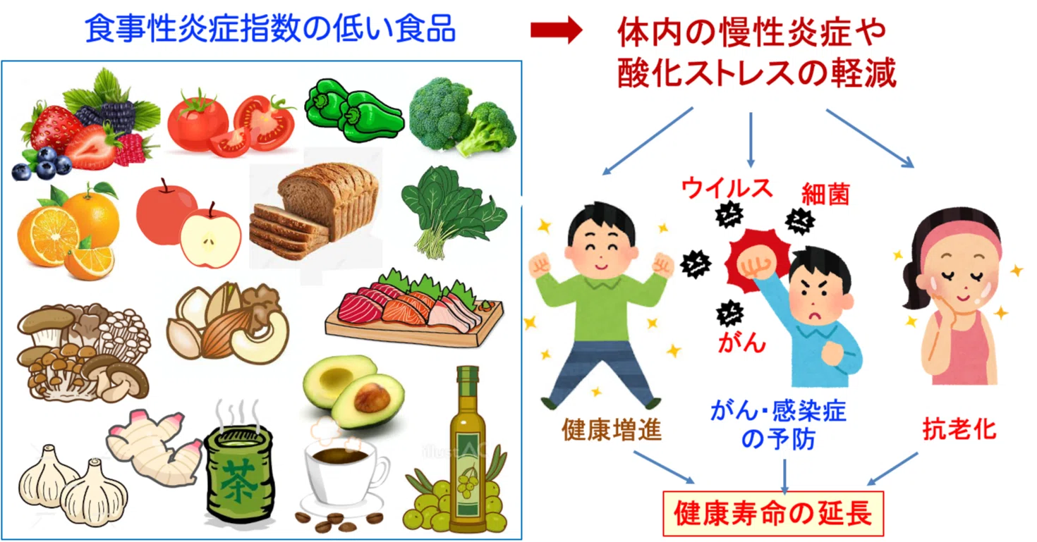 症状別健康食品大百科 183）炎症誘発性の食事が寿命を短縮する｜福田 一典｜銀座東京クリニック