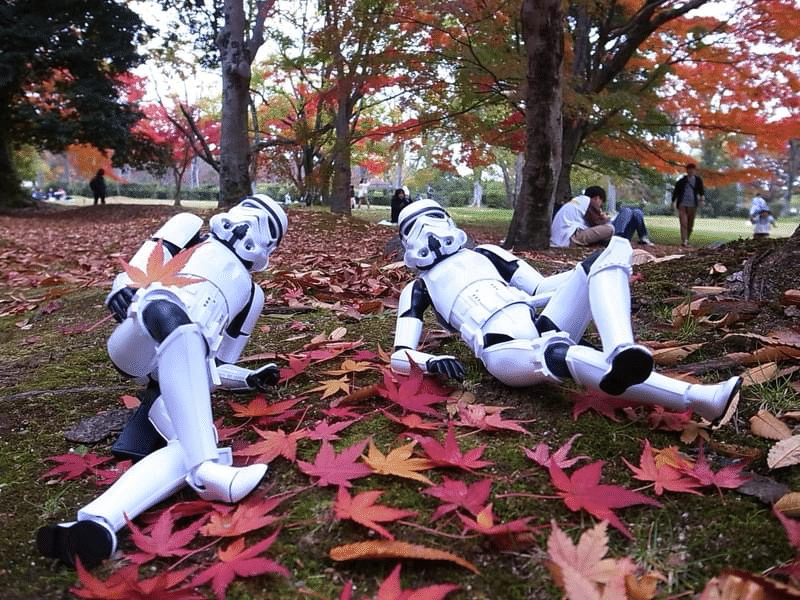 GR DIGITAL III / RICOHで撮影@万博記念公園｜ボビーアートレザー