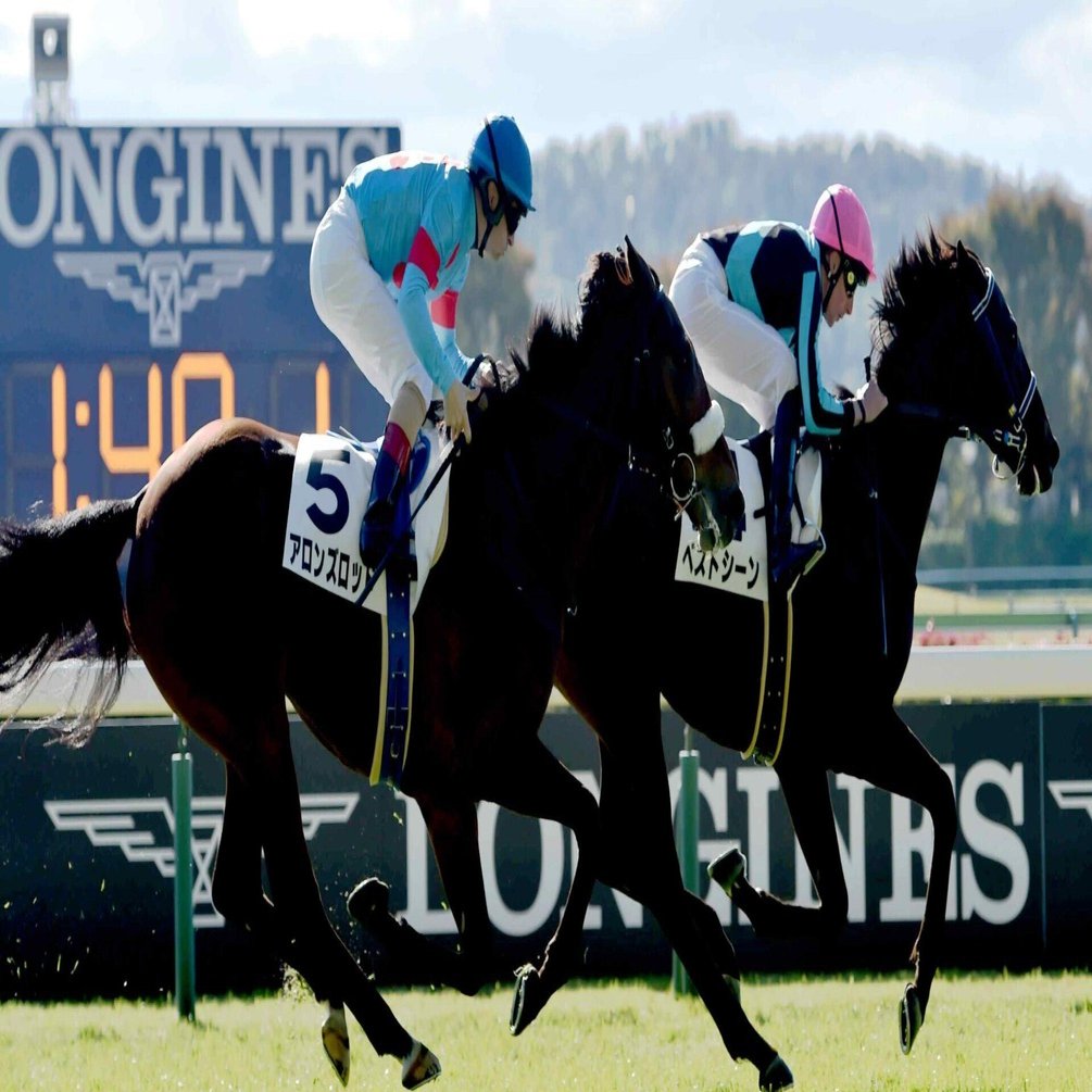 名馬 生写真 写真集 レース写真 種牡馬 競走馬 アルバム 競馬 名馬 生写真 写真集 レース写真 種牡馬 競走馬 アルバム 競馬