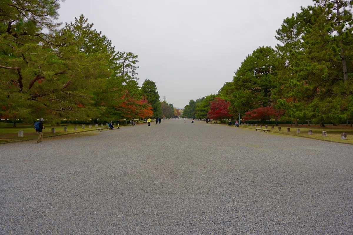画像13