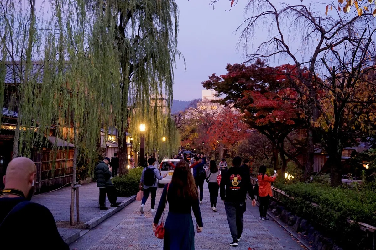 画像18