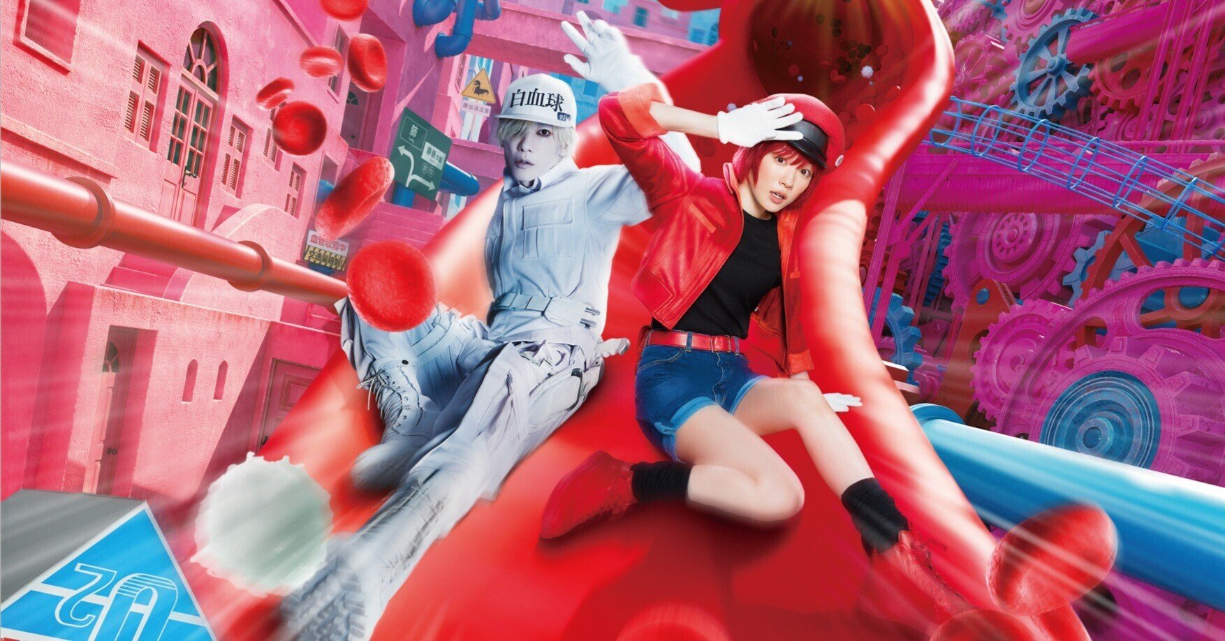 ラスト　はたらく細胞　赤血球　白血球（好中球）キラーT細胞　血小板　4本セット ラスト はたらく細胞 赤血球 白血球（好中球）キラーT細胞