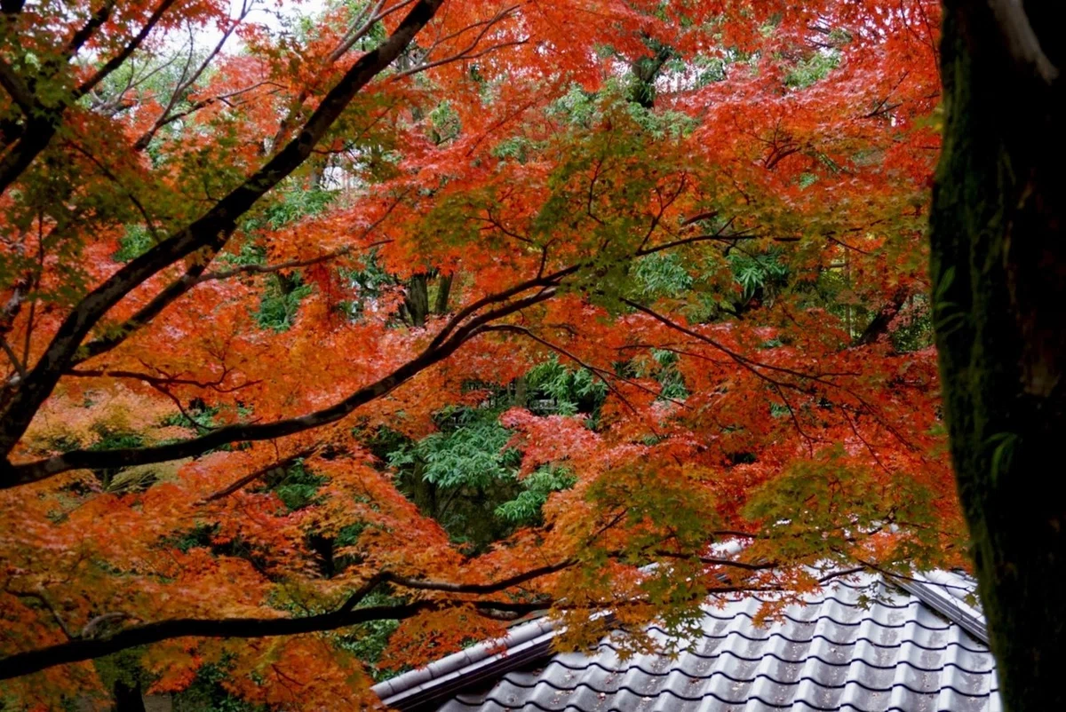 画像25